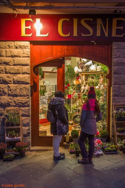 Floristería El Cisne, Floristería en Jaca