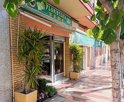 Floristería Tere, Floristería en El Campello