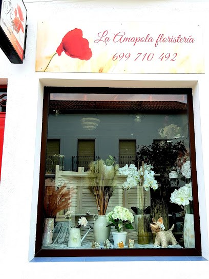 La Amapola Floristería, Floristería en Azuaga