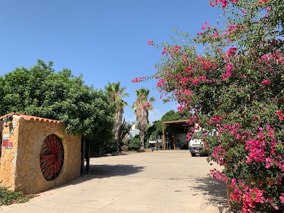 Jr Flores Y Plantas, Floristería en Níjar