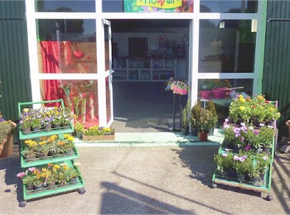 Floristería El Tejar, Floristería en Tudela de Duero