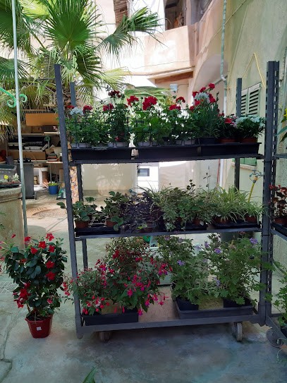 Floristeria Arenal, Floristería en S'Arenal