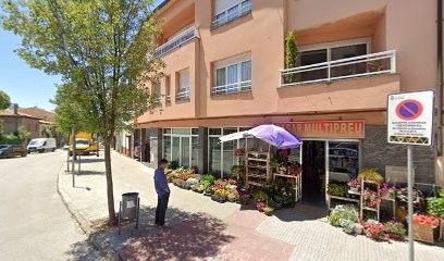 Floristería La Ginesta, Floristería en Taradell