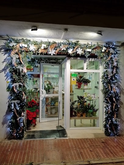 TAMARA FLORISTAS, Floristería en Guardamar del Segura