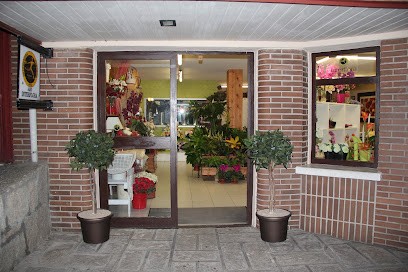 Floristería Madreselva, Floristería en Sotillo de la Adrada