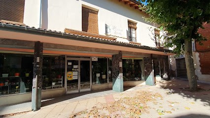 Floristeria Lourdes, Floristería en Herrera de Pisuerga