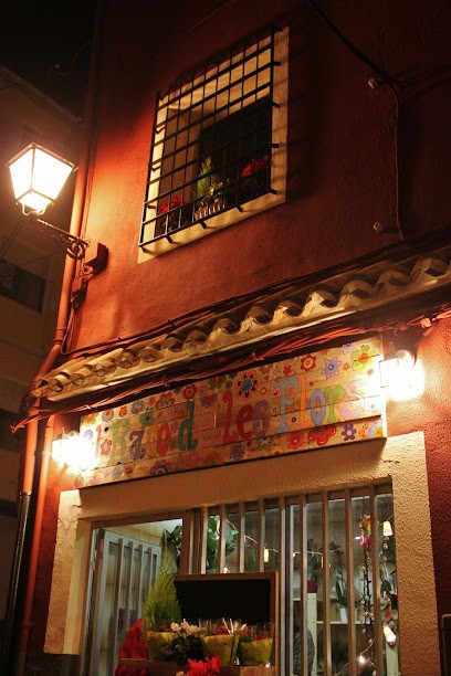 El Raco de les Flors, Floristería en Castalla