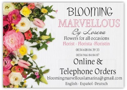 Blooming Marvellous, San Fulgencio, Floristería en San Fulgencio