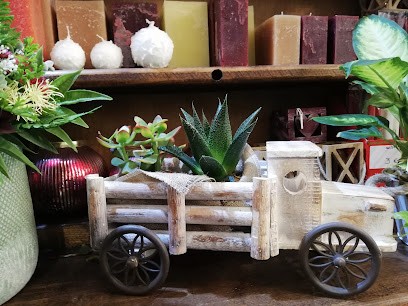 ETH Jardinet, Floristería en Naut Aran