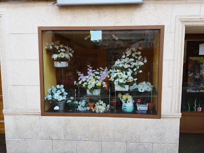 Floristería, calzado y ropa de niños Isabel, Floristería en La Solana