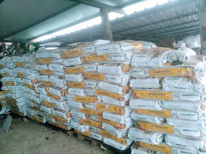 Vivero Flores y Plantas Los Valles, Floristería en Sabiñánigo