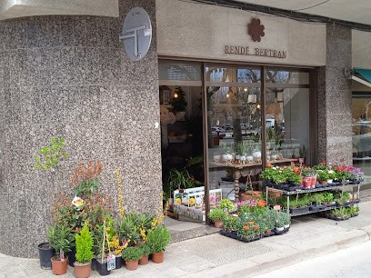 Flors i plantes Rendé Bertran, Floristería en Solsona