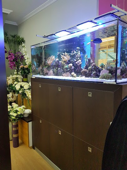 Floristería Estrella, Floristería en Moaña