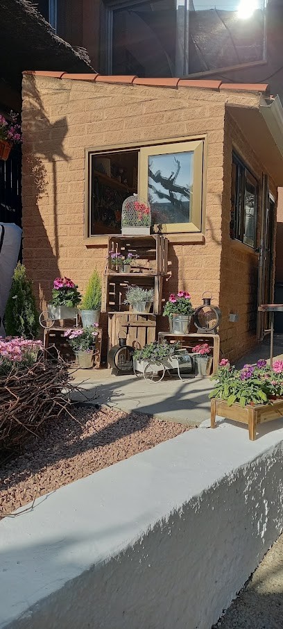 Floristeria i Jardineria TERRALL, Floristería en Les Borges Blanques