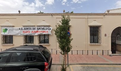 floristeria y regalos aspromanis, Floristería en Campillos