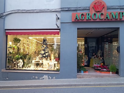 Agrocamp Floristes, Floristería en Móra d'Ebre