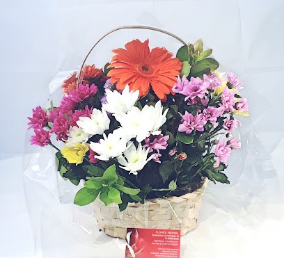 Floristería HERVAL, Cañaveral, Floristería en Cañaveral