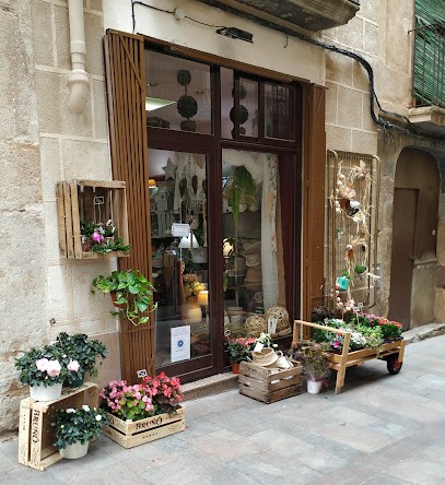 Els 4 Cantons, Floristería en Alcover