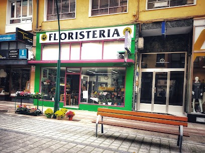 Floristería Aromas, Floristería en Torrelavega