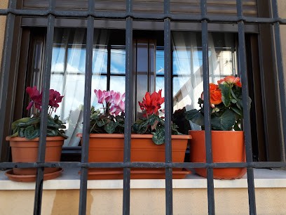 Floristería La Perla, Floristería en Villarejo de Salvanés