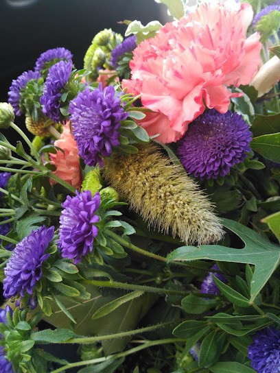 Floristeria Pepi, Floristería en Teba