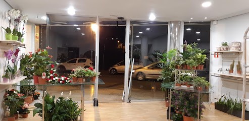 Margarita floristas, Floristería en Moaña