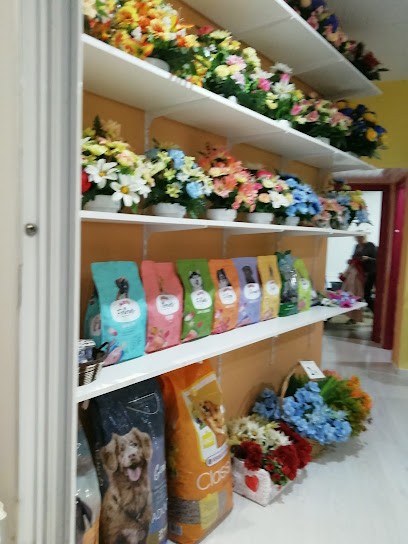 Floristeria El Reino, Floristería en Láncara