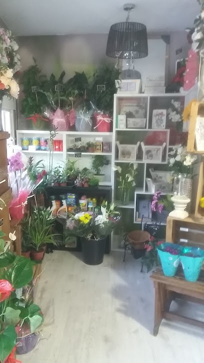La camelia, Floristería en Cuevas del Valle