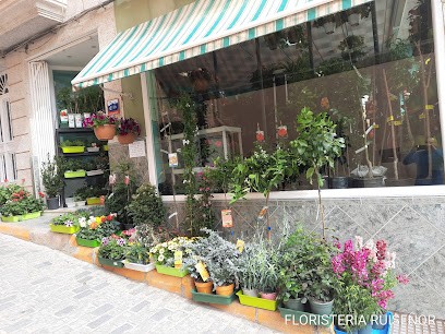 Floristería Pajareria Ruiseñor, Floristería en Loja