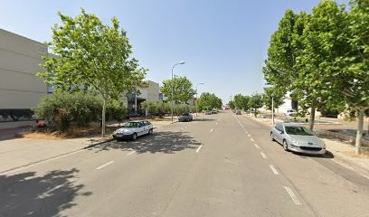 Comercial Raykar Utebo S L, Floristería en Utebo