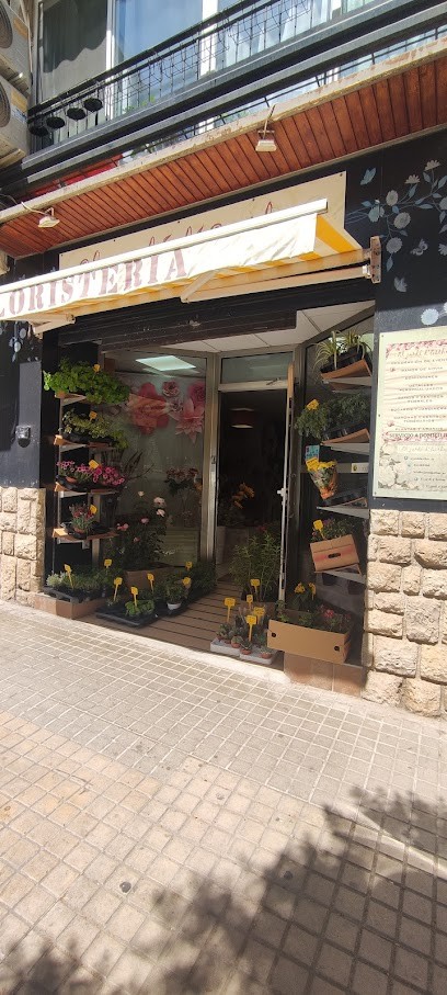 Floristeria Online Valencia - El Jardí d'Esther, Floristería en Xàtiva