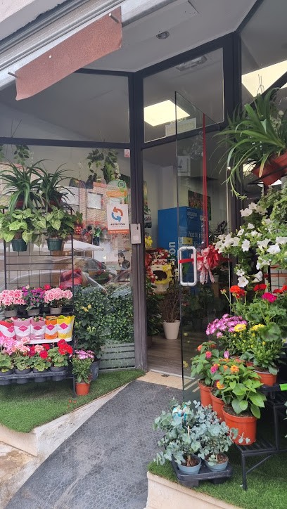 Paisaflora, Floristería en Betera