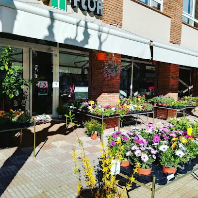 Firaflor, Floristería en Maçanet de la Selva