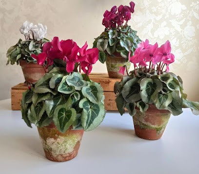 El Jardín de Resa, Floristería en Argamasilla de Alba