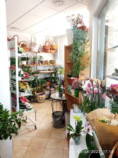 Flores y Plantas Mary, Floristería en Navia