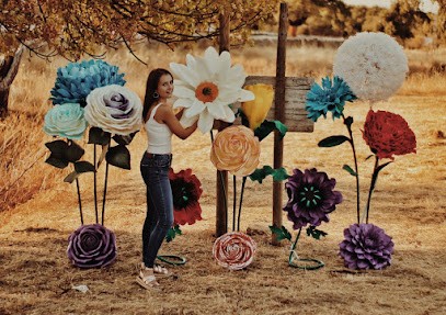 Festyflor, Floristería en Sierra de Fuentes