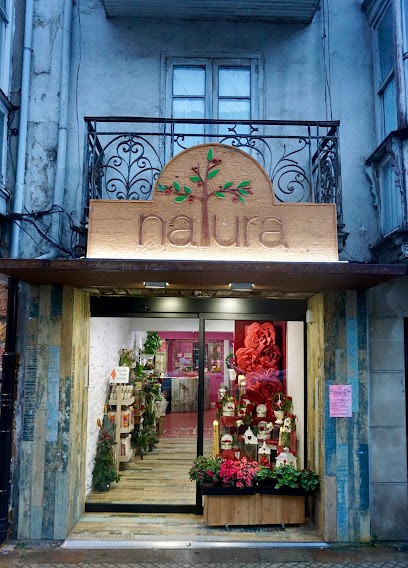 Natura flores y plantas, Floristería en Reinosa