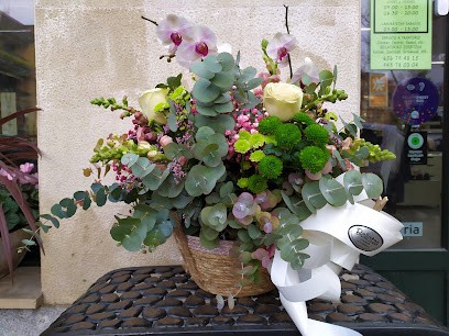 BELLOTZA LORADENDA, Floristería en Oñati