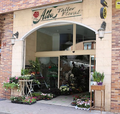 Floristeria Alba, Floristería en Medina de Pomar