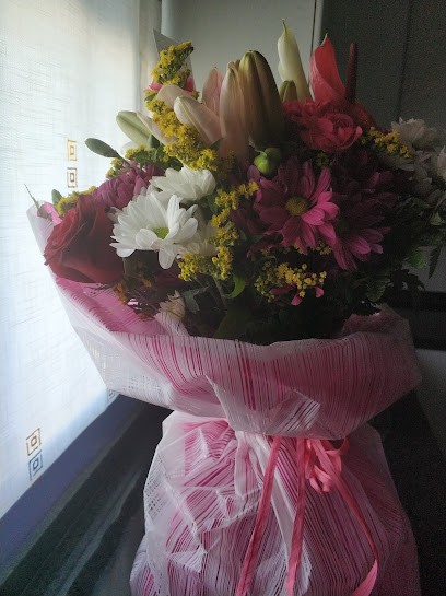 Floristería José Luis, Floristería en Aceuchal