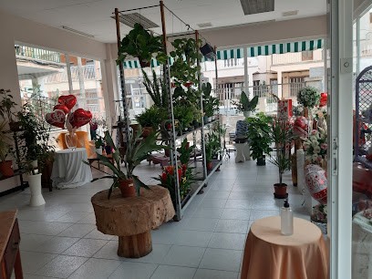 Floristeria Arenal 2, Floristería en Palma