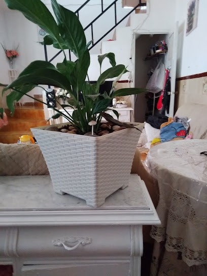 Vegaflor, Floristería en Almoharín