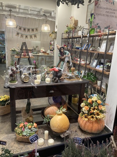 NARDOS PLAZA, Floristería en Pola de Laviana