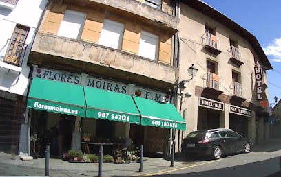 Flores Moiras, Floristería en Villafranca del Bierzo