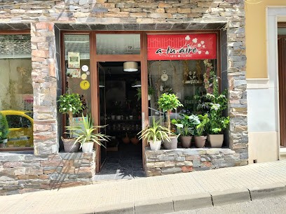 A Tu Aire. Arte Floral, Floristería en Rute