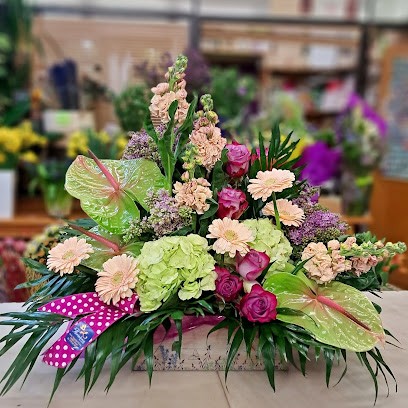 La Floristería De Teruel, Floristería en Teruel