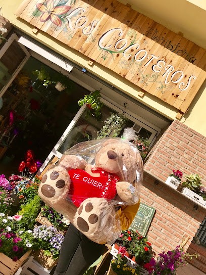 Floristeria Los Cocoteros, Floristería en Rincón de la Victoria