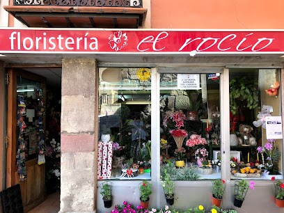 Floristería El Rocío, Floristería en Molina de Aragón