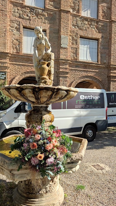 Floristería Esther floristas, Floristería en Tudela