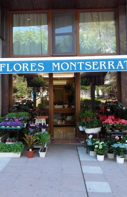 Flores Montserrat, Floristería en Jaca
